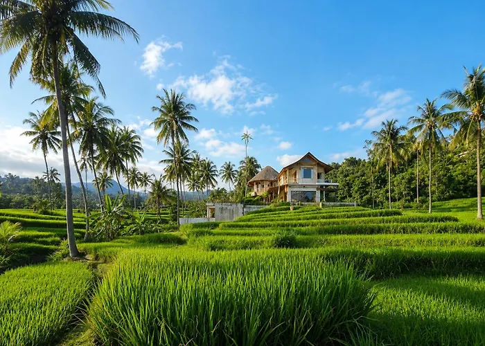 Bed & Breakfast Omantra Bali